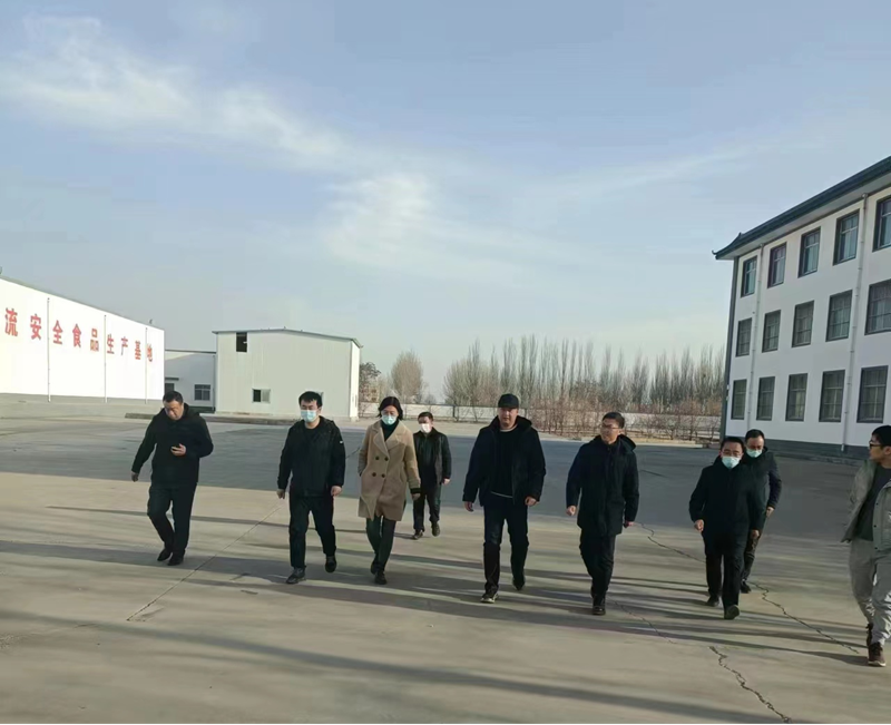 石嘴山市副市長(zhǎng)、惠農(nóng)區(qū)委書記王宇翔蒞臨寧夏興康恒潤(rùn)農(nóng)業(yè)科技發(fā)展有限公司調(diào)研